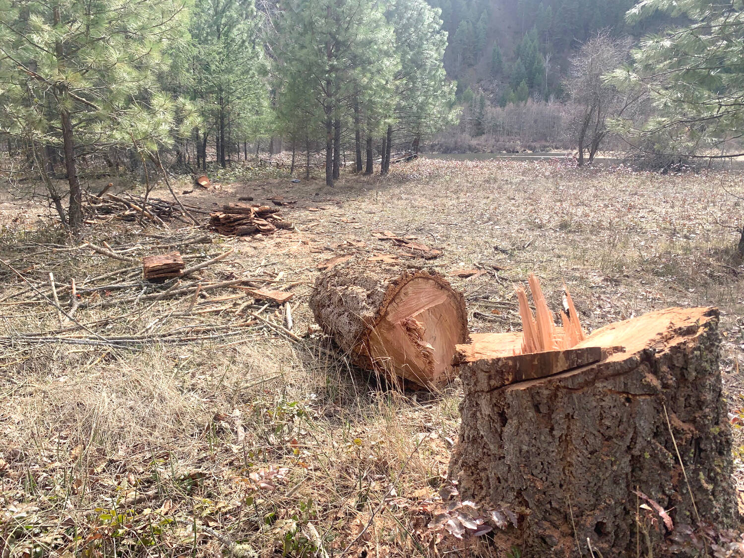 Settlement reached over alleged damage to Edwards Pond