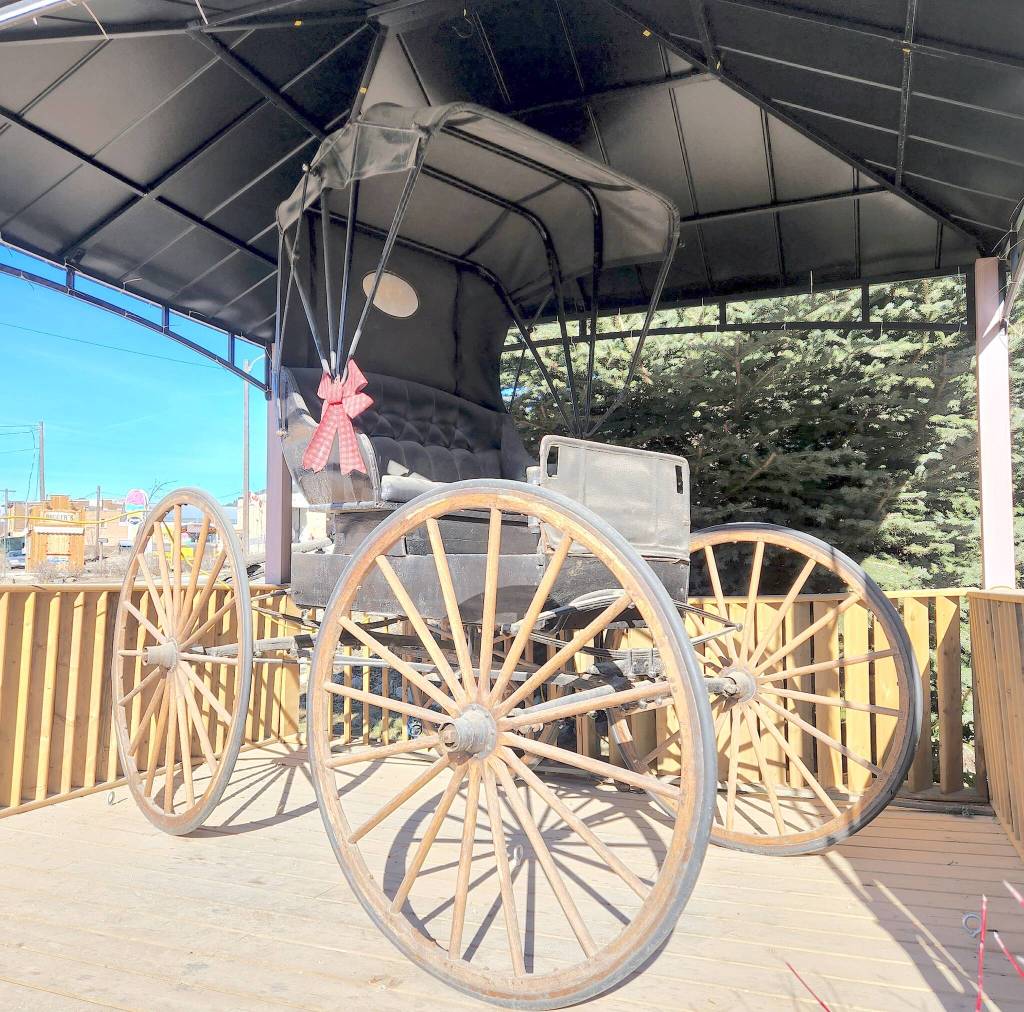 Greenwood City Council turned town an offer to purchase a doctor&rsquo;s carriage from the owners of Deadwood Junction that was presented during the Feb. 23 Council meeting. However, they did discuss approaching the Greenwood Museum and Visitors Centre about acquiring it for their collection. Photo/Karen McKinley