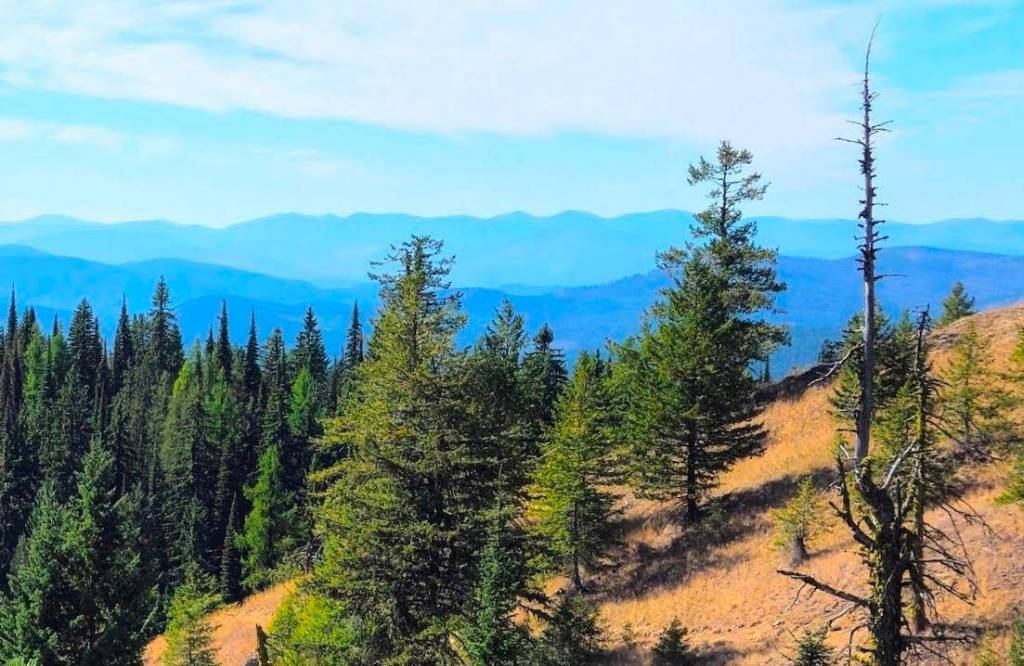 The BC Supreme Court will hear an application that Record Ridge undergo an environmental assessment. (Submitted)