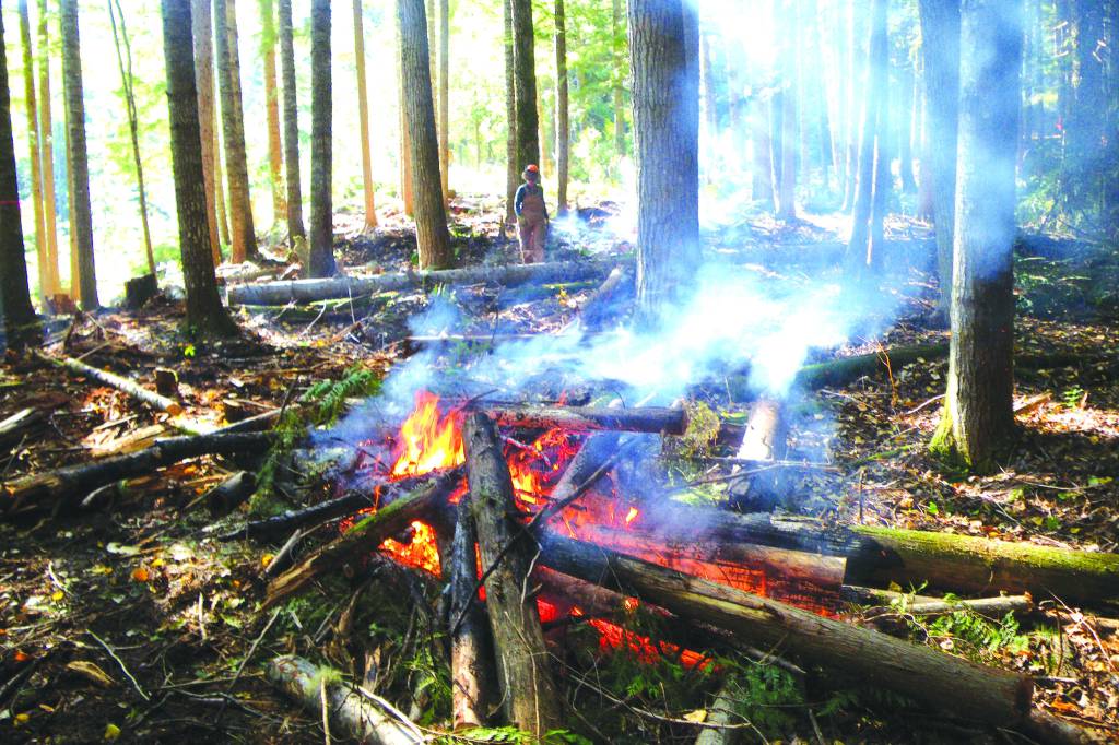 West Kootenay wildfire prevention projects received a funding boost. (FIle)